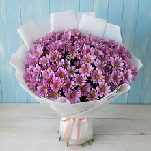 Букет цветов из:  Хризантемы в Тюльган
