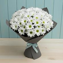 Букет цветов из:  Хризантемы #REPLACE_PRED# Тюльган