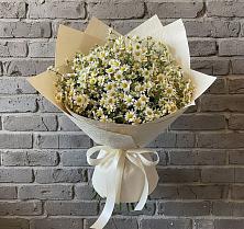 Букет цветов из:  Ромашки #REPLACE_PRED# Тюльган