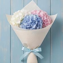 Букет цветов из:  Гортензия в Тюльган