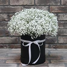 Цветочная композиция из Гипсофила в шляпной коробке в Тюльган