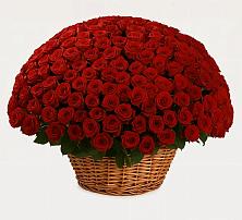 Премиум букет из: Розы #REPLACE_PRED# Тюльган