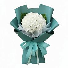Букет цветов из:  Гортензия в Тюльган